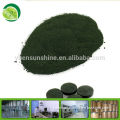 Spirulina powder organic spirulina powder bulk